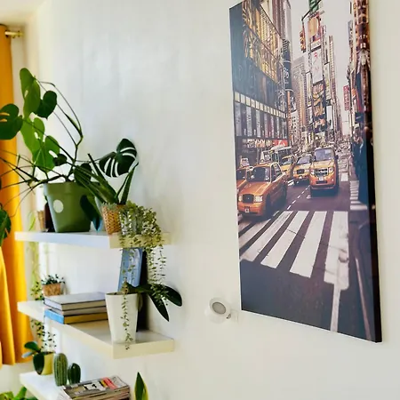Down-town 1 Bedroom Flat Apartment
